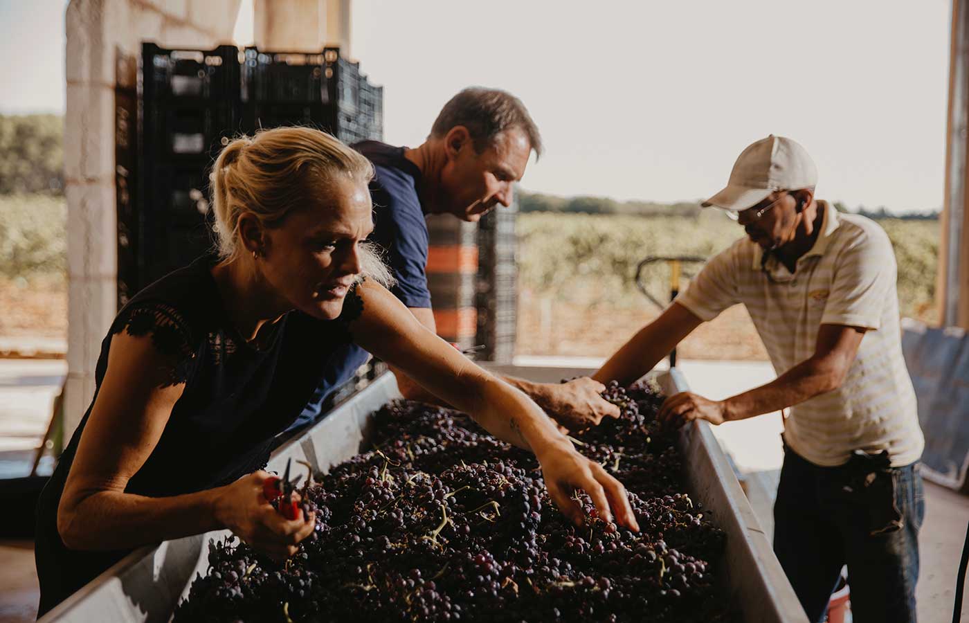 Elegancia  Pasión  Innovación VONAHM CONSULTING